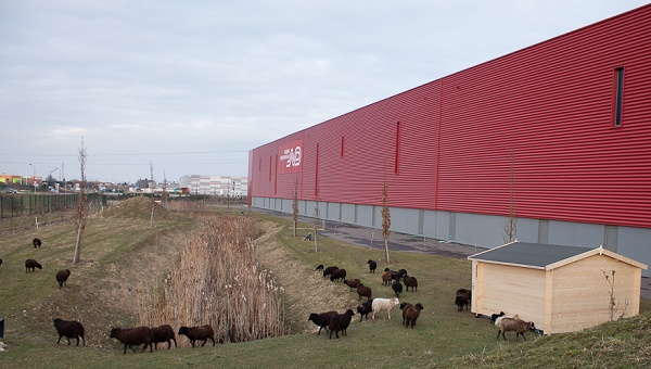 2012 : Première installation Ecomouton. 