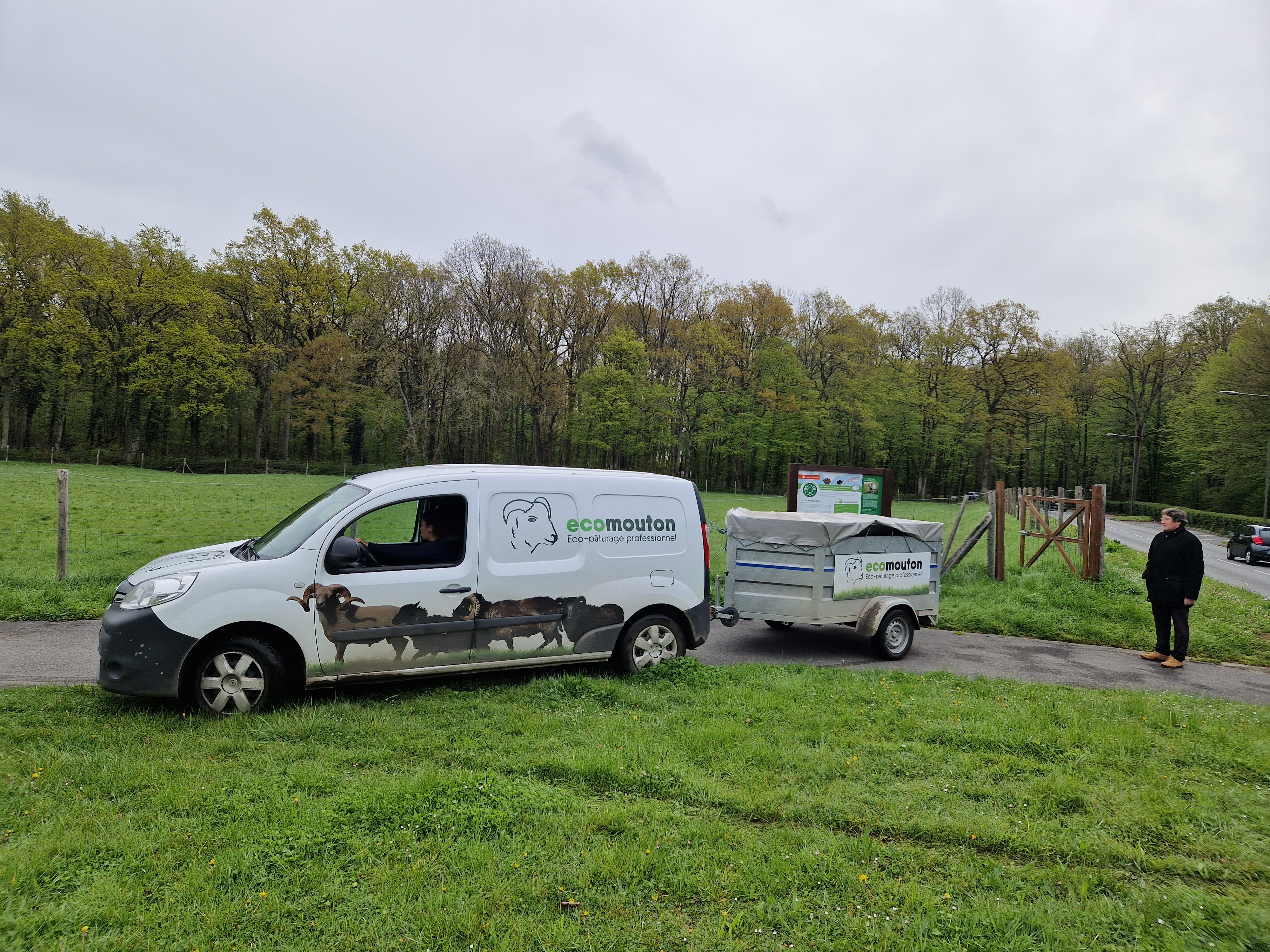 ecopaturage savigny le temple