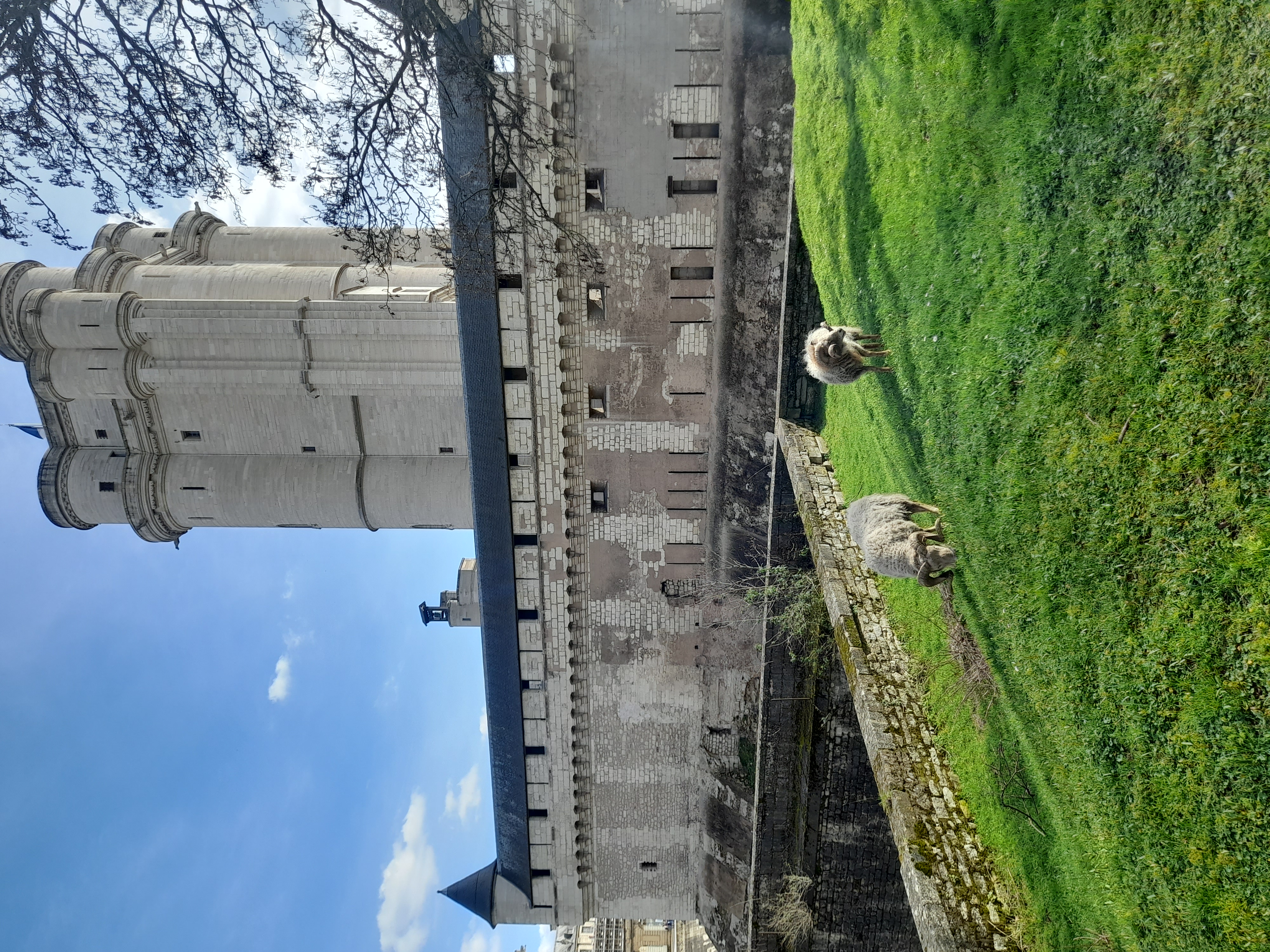 ecopaturage vincennes
