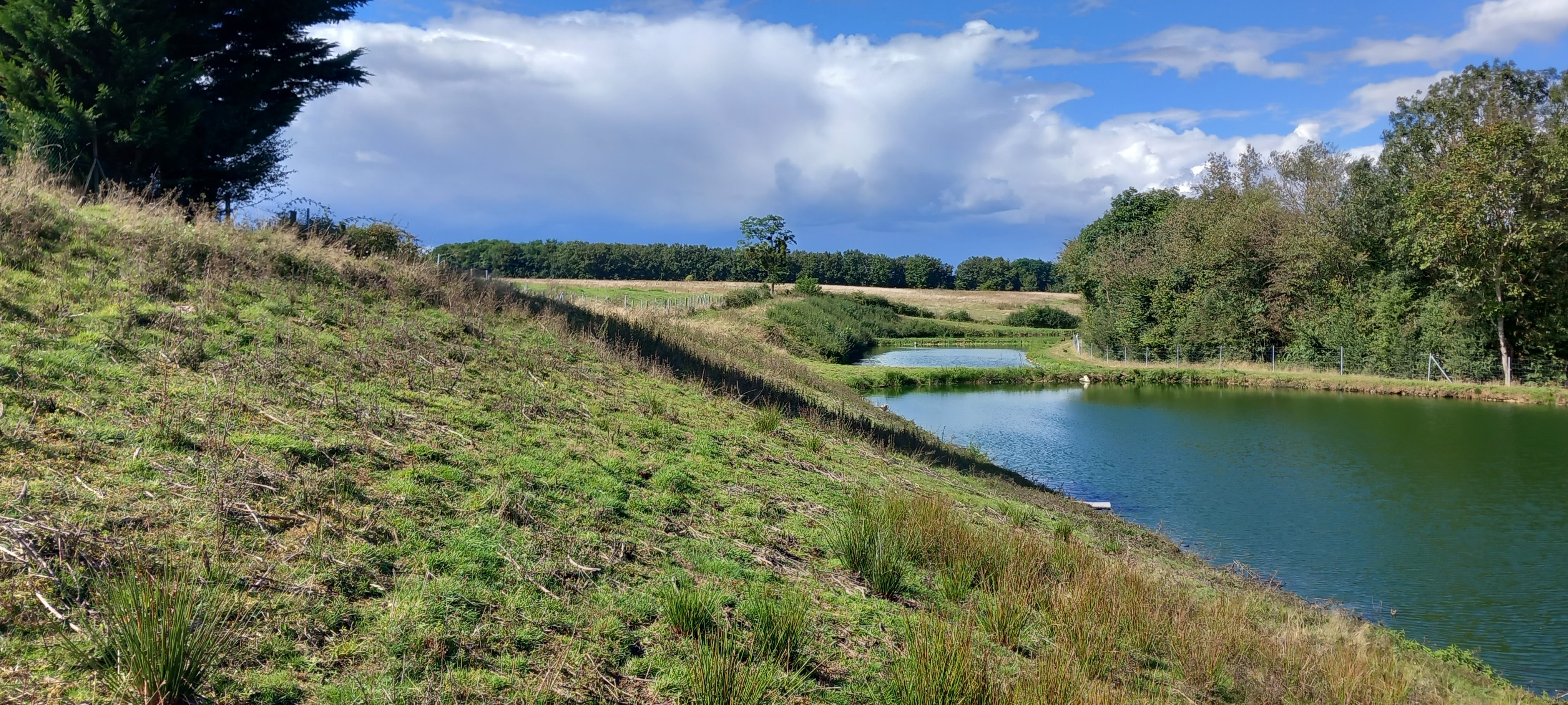 ecopaturage Montacher-Villegardin