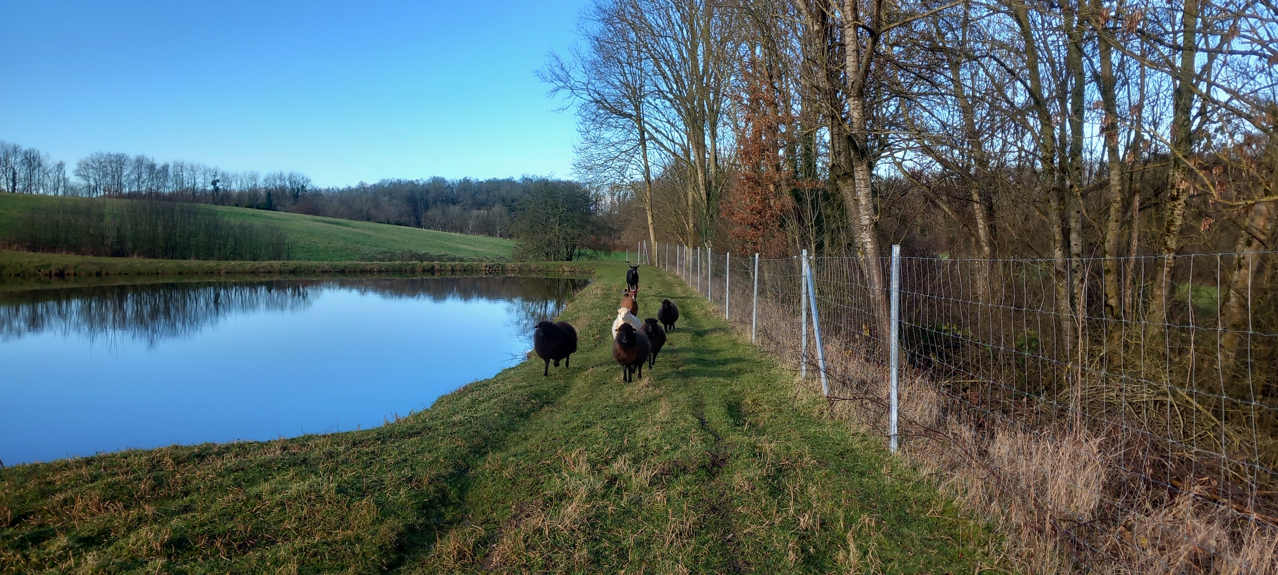 ecopaturage montacher