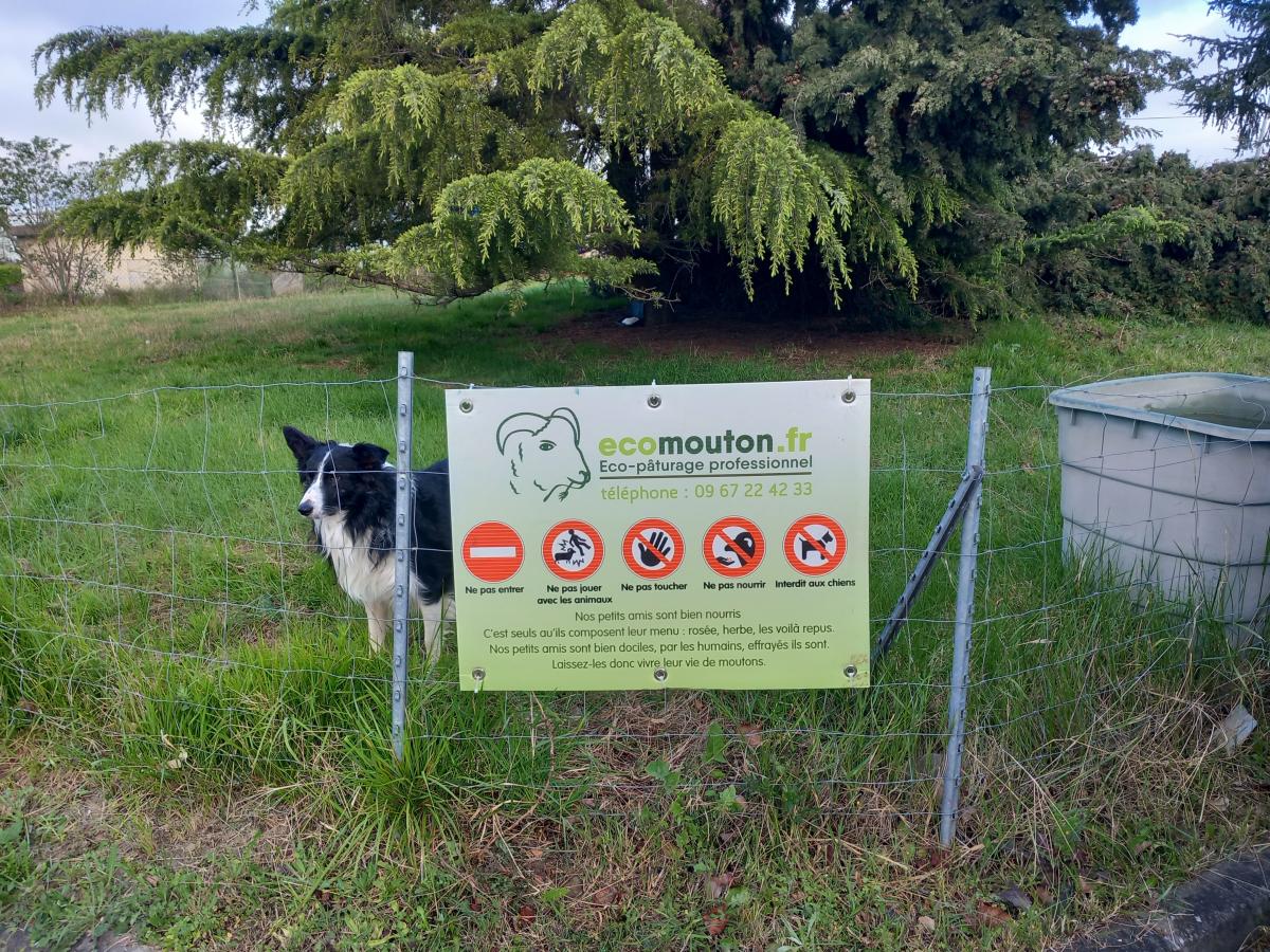 ecopaturage toulouse