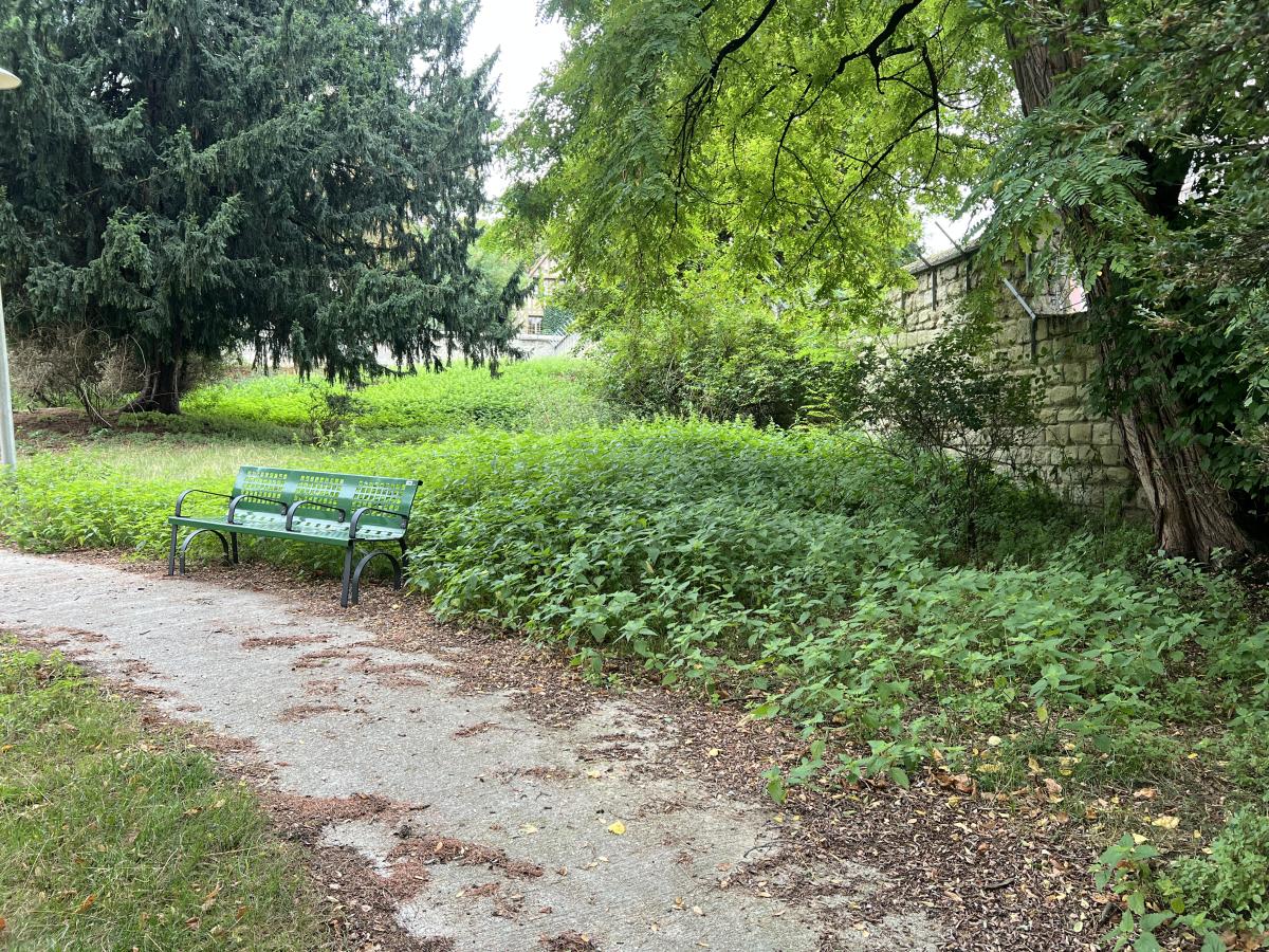 ecopaturage ecomouton