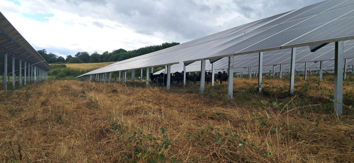 ecopaturage nouvelle aquitaine