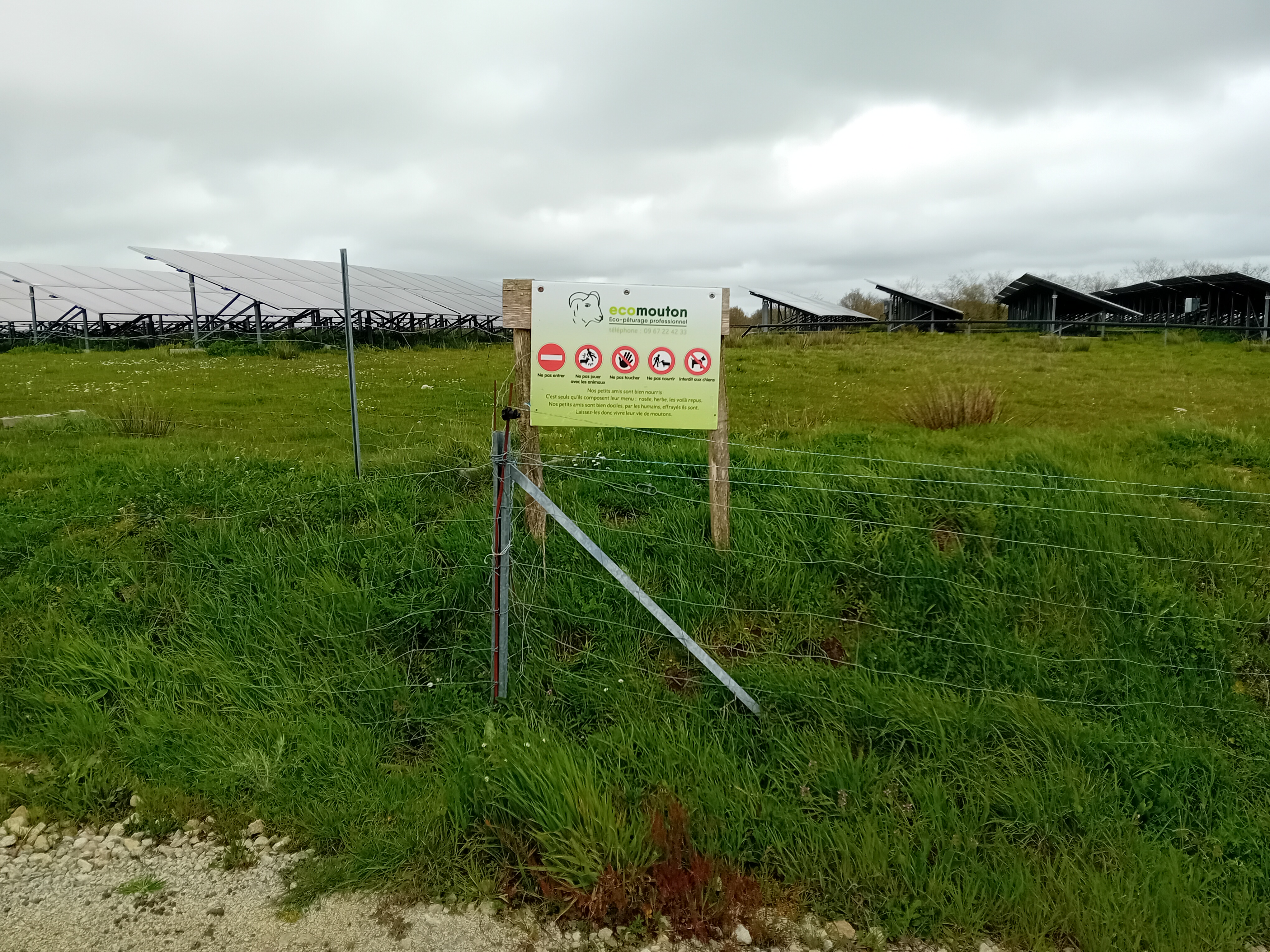 ecomouton ferme photovoltaique