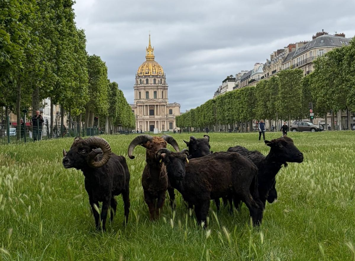 ecopaturage paris france