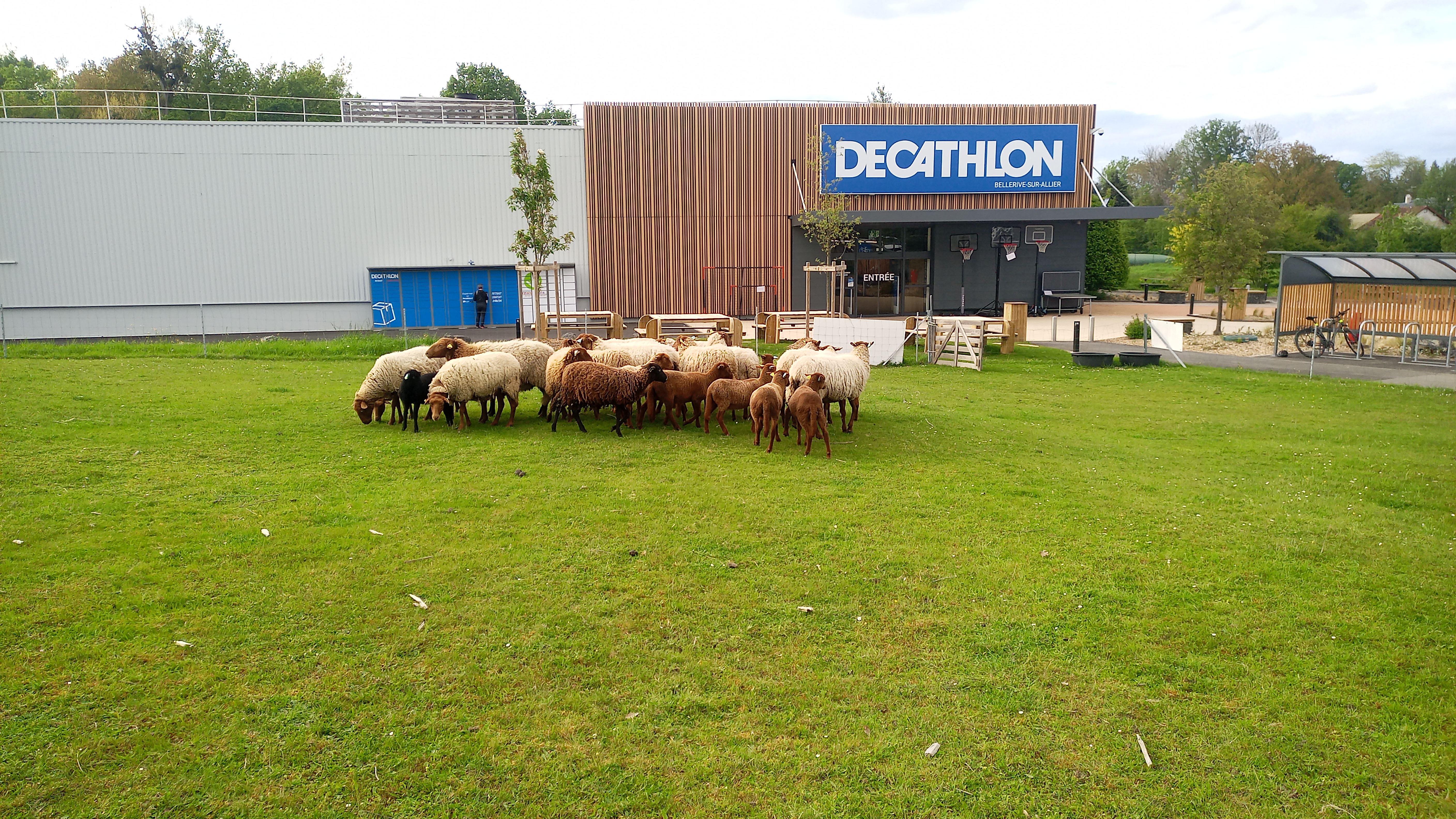 ecopaturage zone commerciale ecomouton