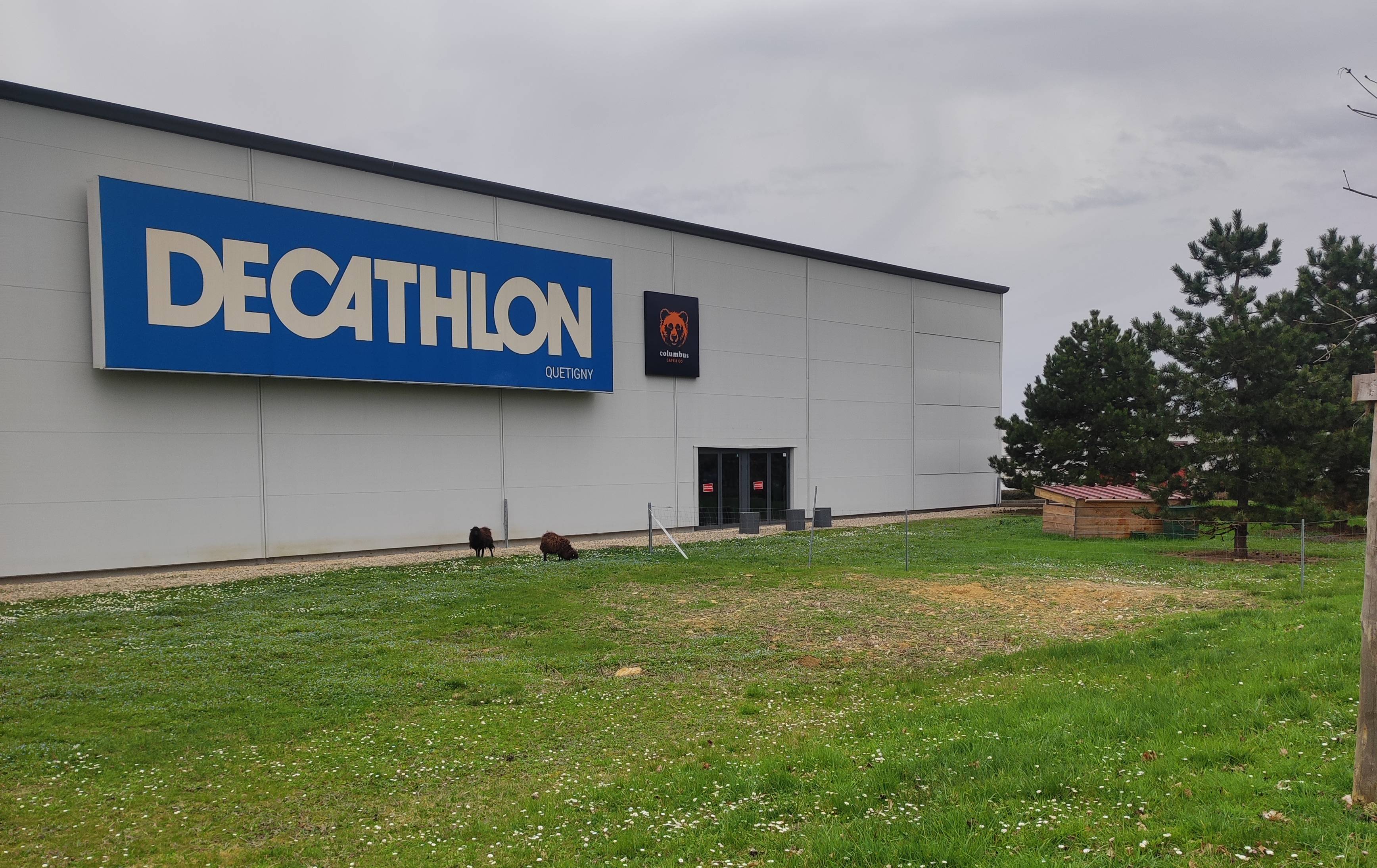 ecopaturage decathlon ecomouton