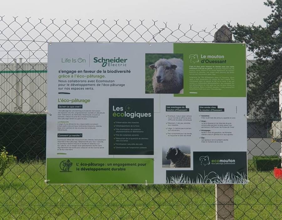 ecopaturage schneider electric ecomouton