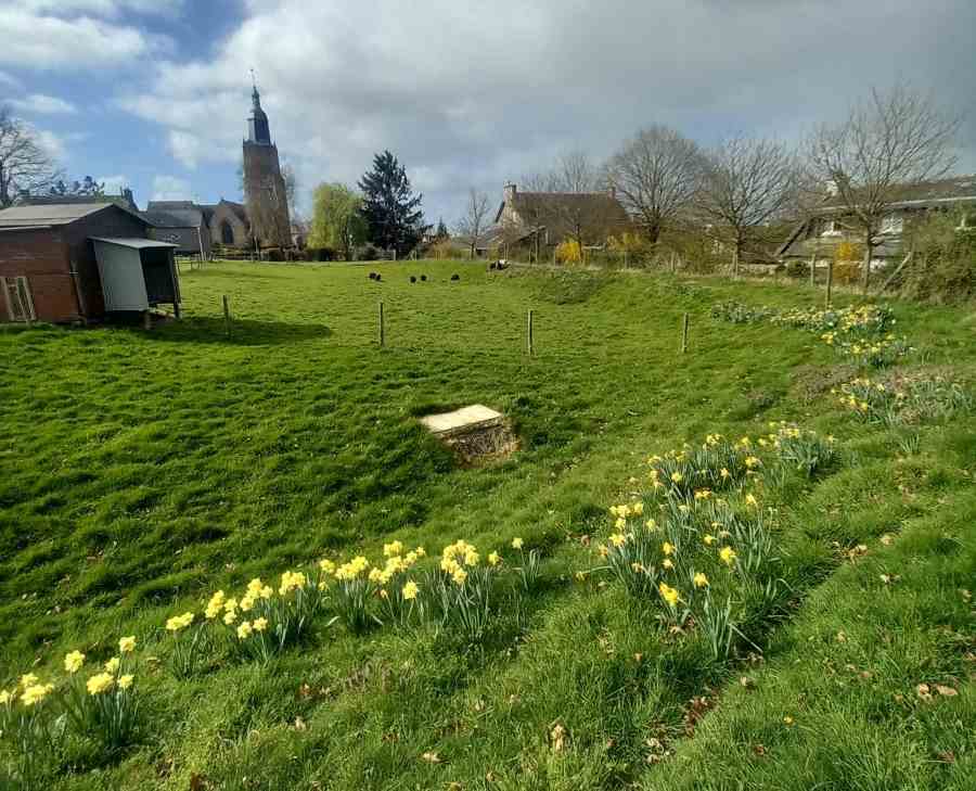 ecopatruage bretagne