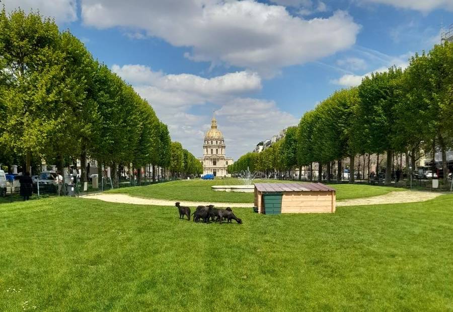 ecopaturage paris invalides