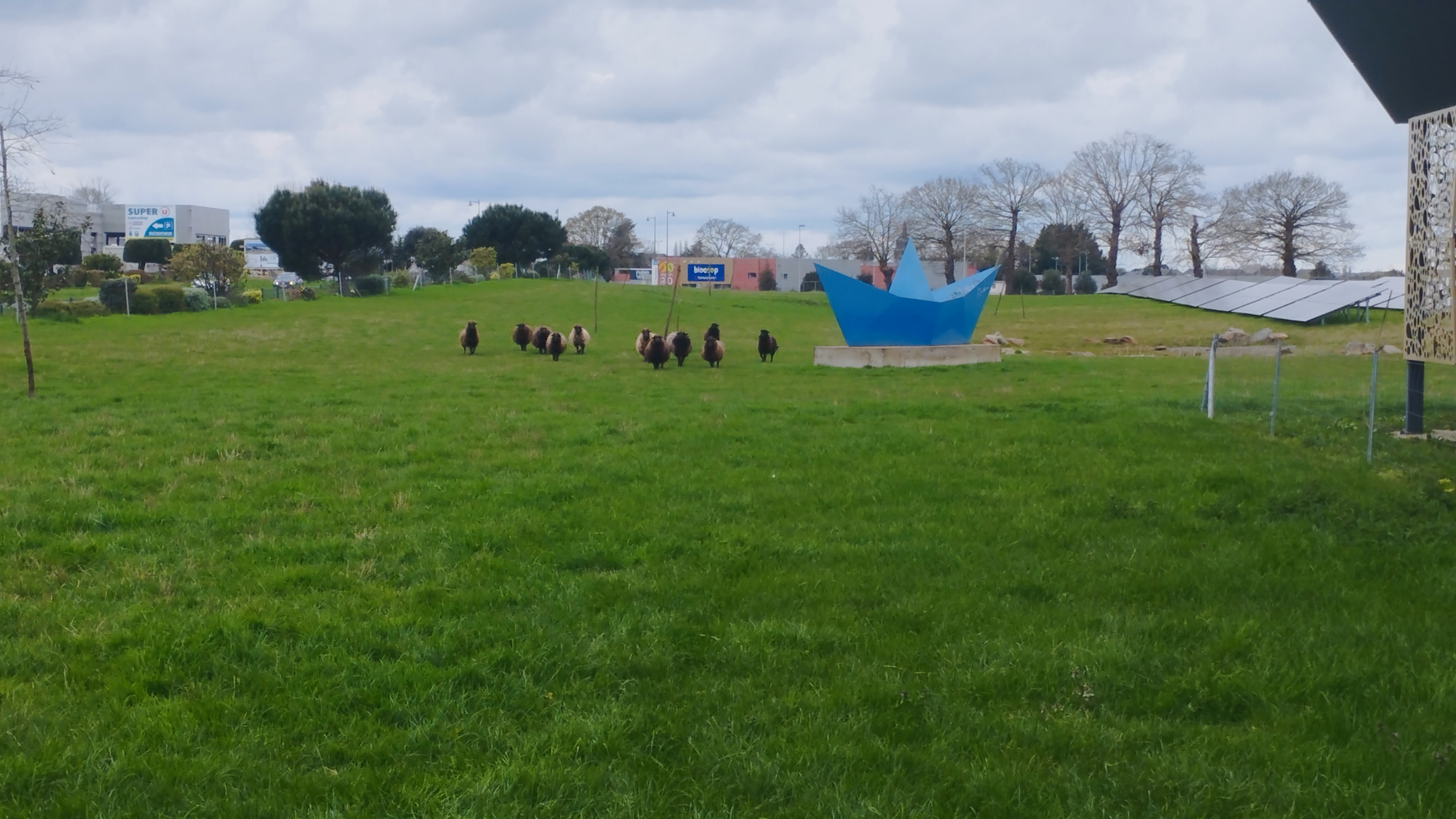 ecopaturage bretagne