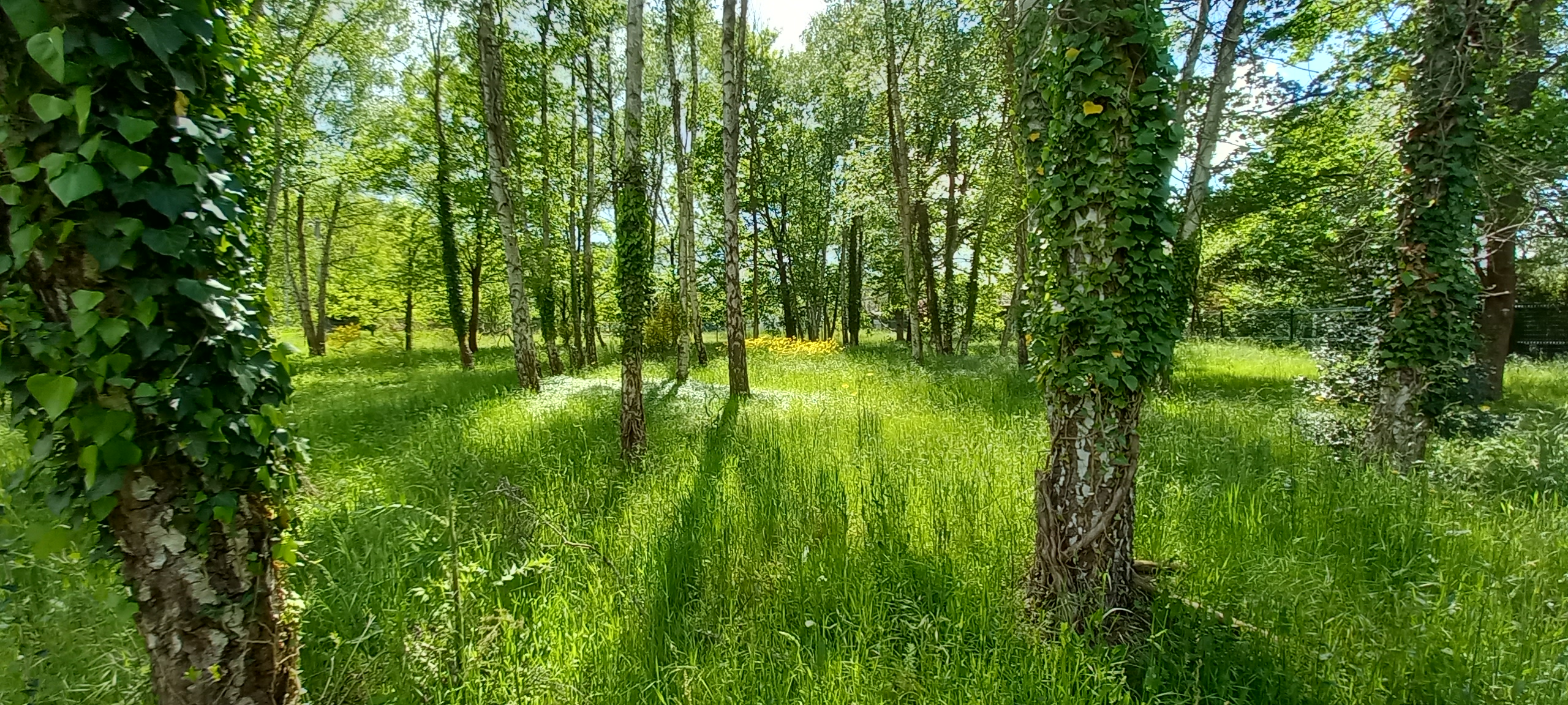 ecopaturage nature