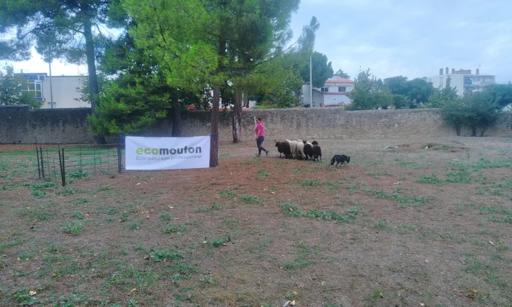 ecopaturage  CHU Béziers