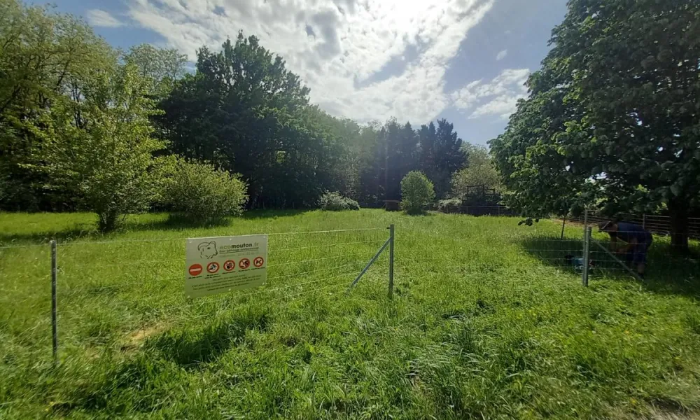 ecopaturage pro à saint orens près de Toulouse