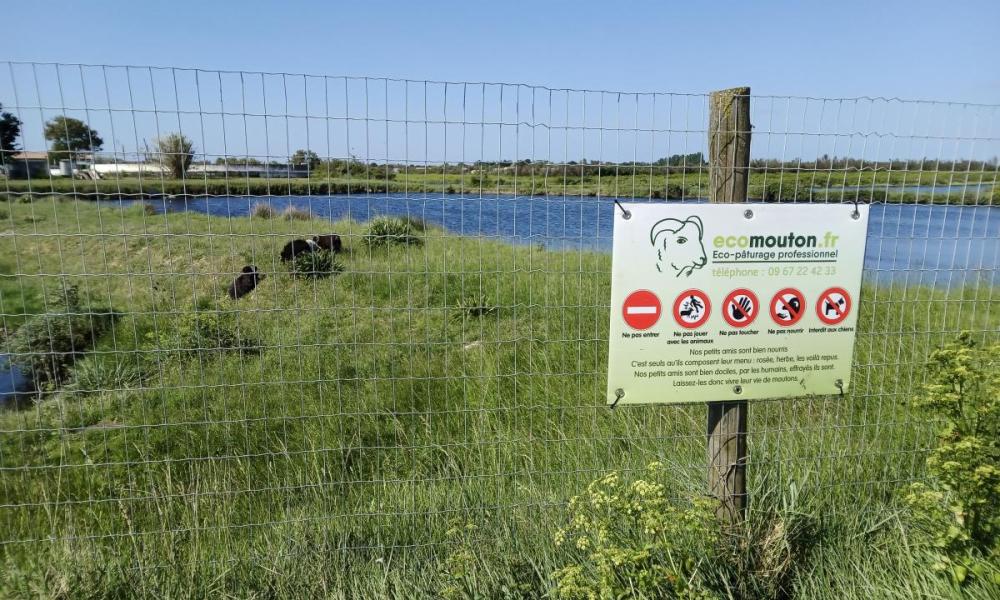 ecopaturage