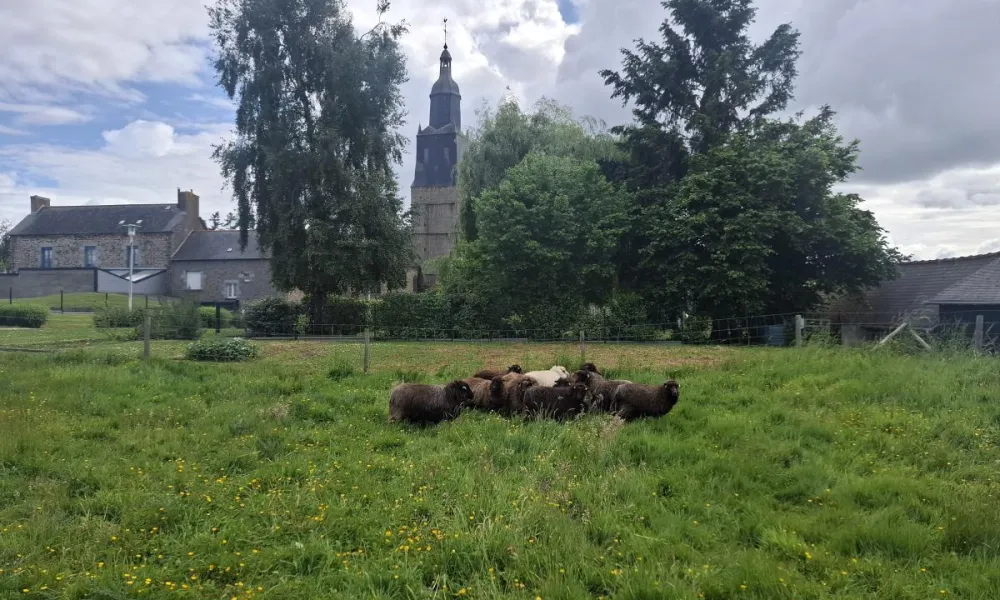 ecopaturage bretagne