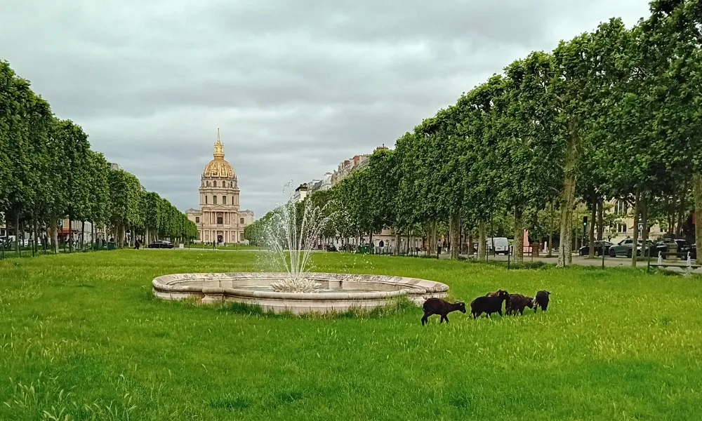ecopaturage paris