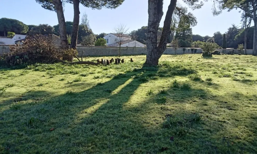 ecopaturage reims