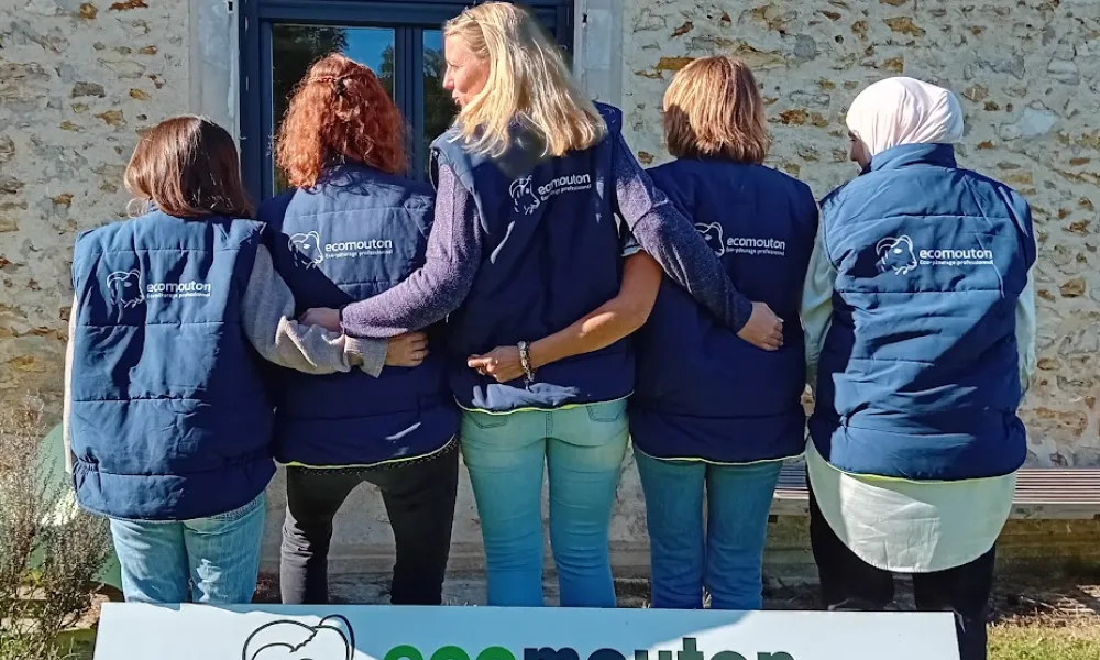 ecomouton rse ecovadis médaille