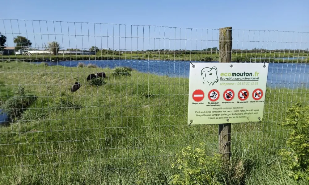 ecopaturage Nouvelle Aquitaine