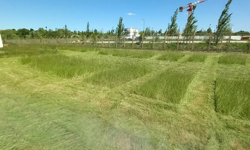 ecopaturage