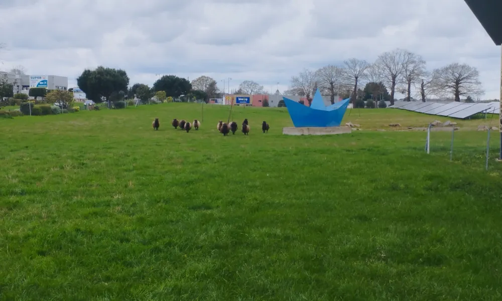 ecopaturage bretagne