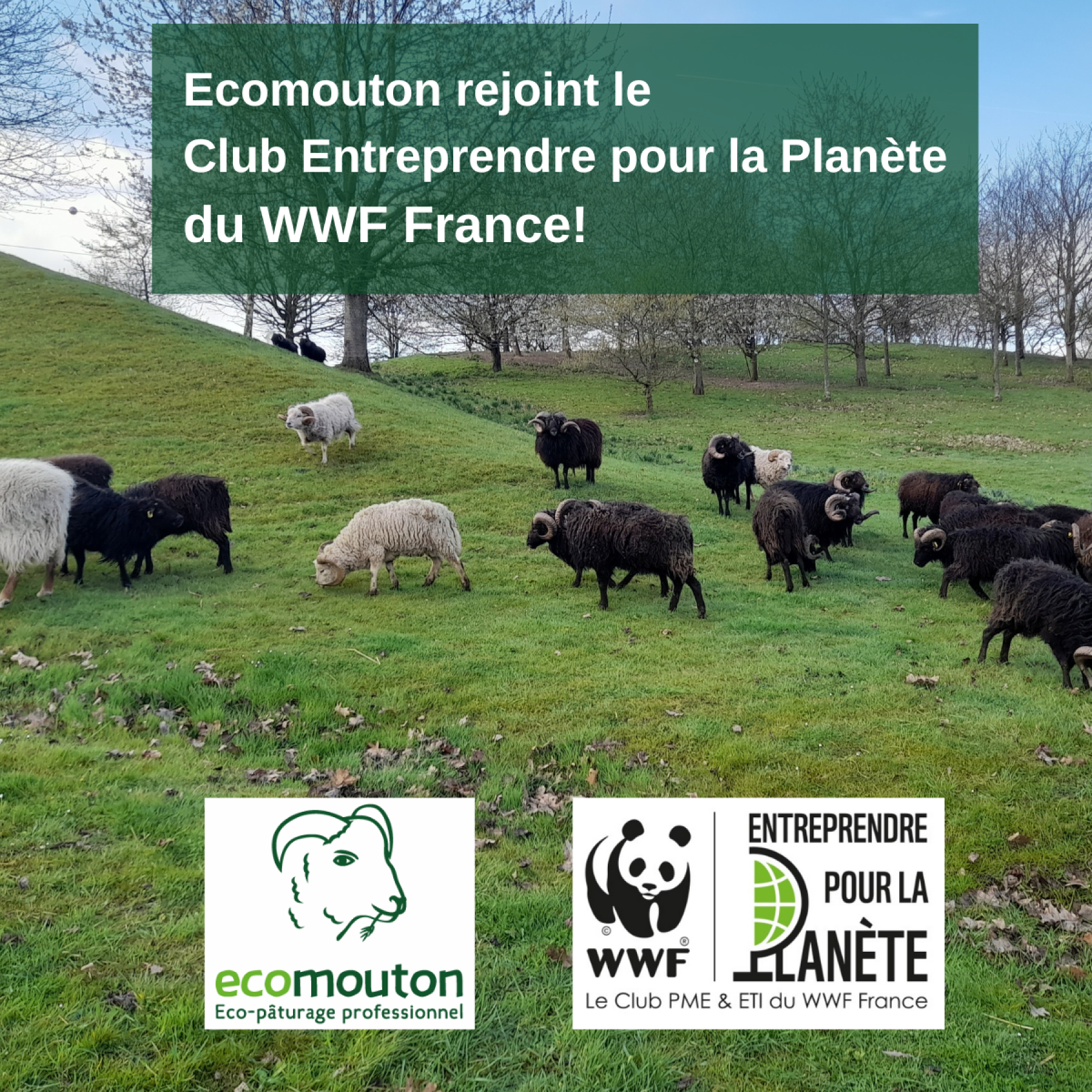 Nous rejoignons le club WWF France !