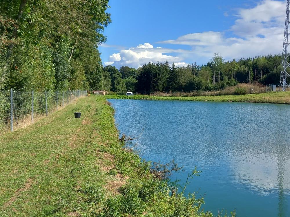 ecopaturage montacher