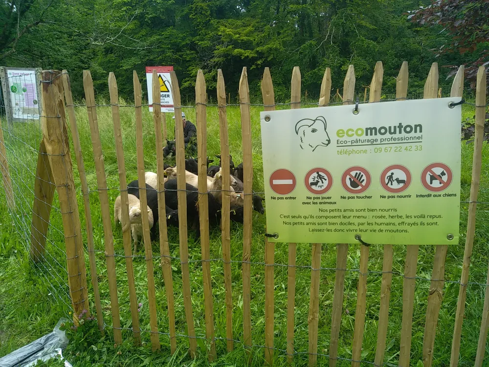 Ecomouton peut racheter votre activité