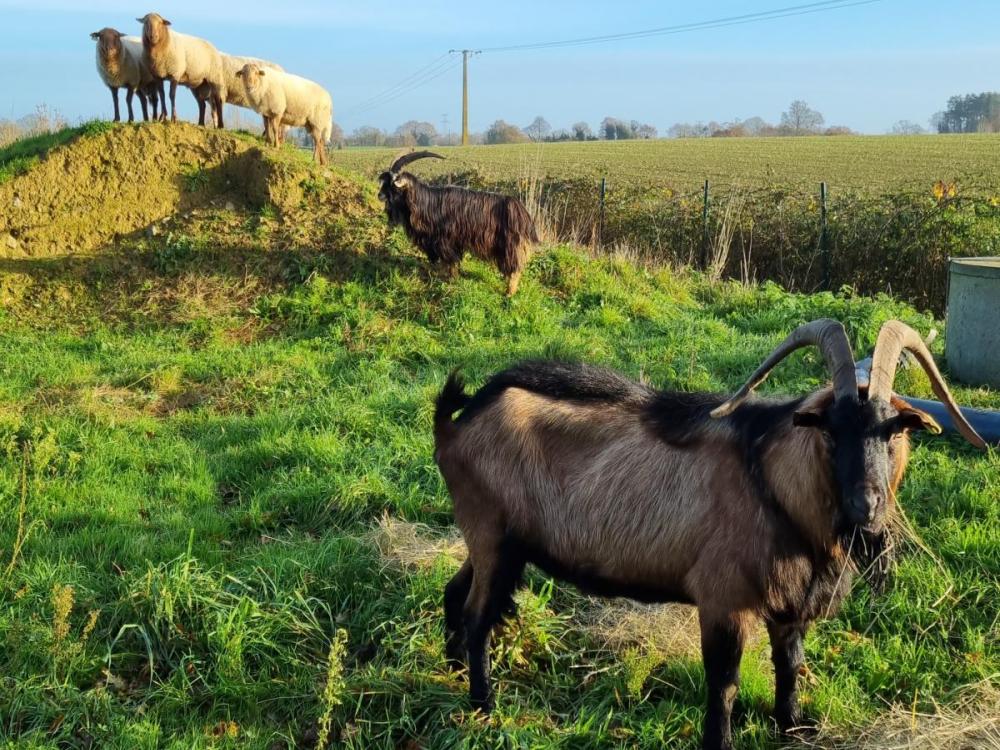 ecoaturage pays de la loire