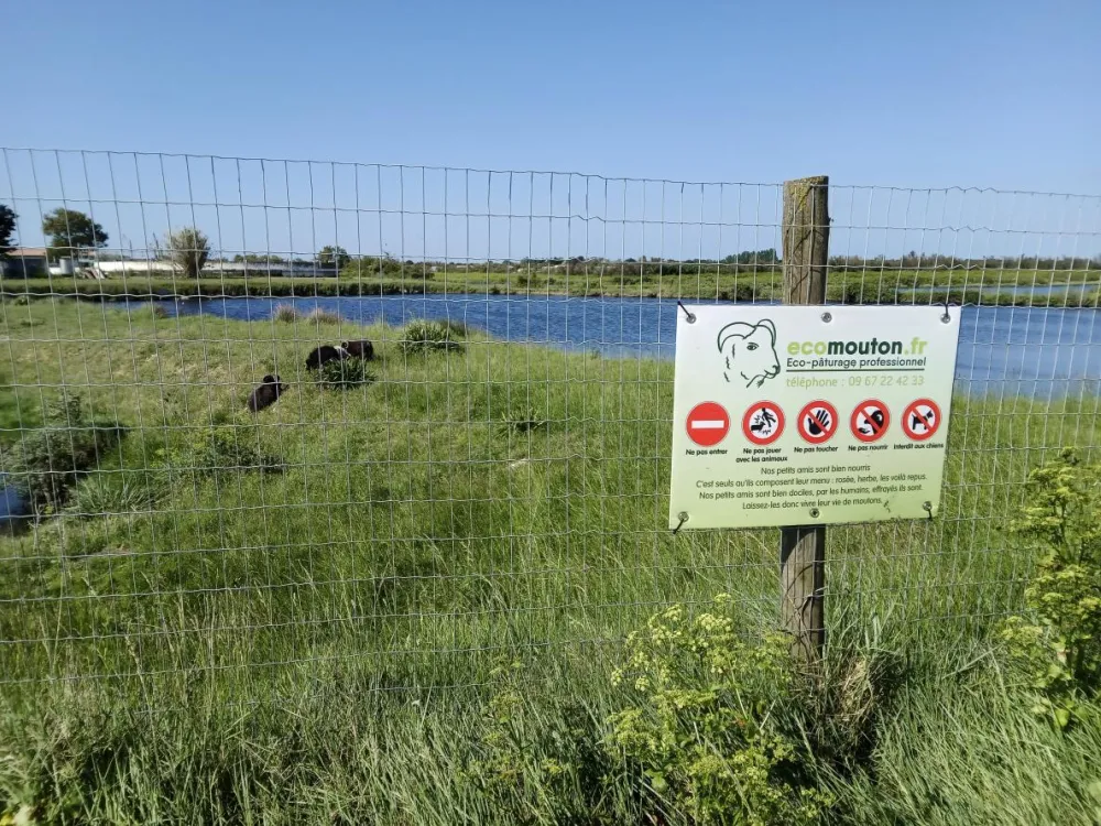 ecopaturage Nouvelle Aquitaine