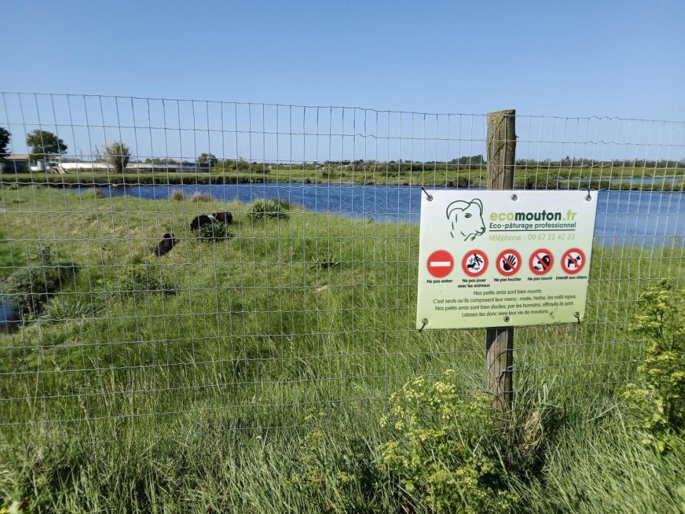ecopaturage Nouvelle Aquitaine