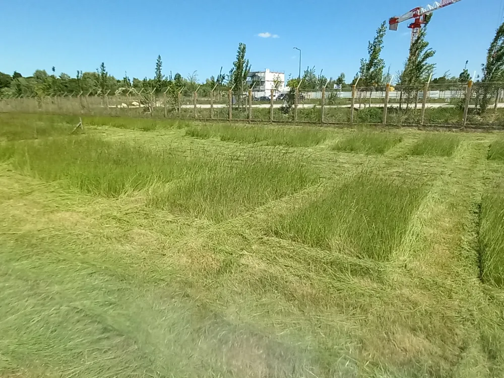 ecopaturage