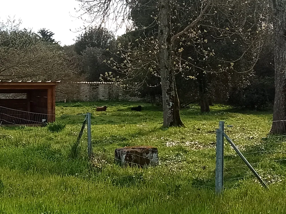 ecopaturage reims