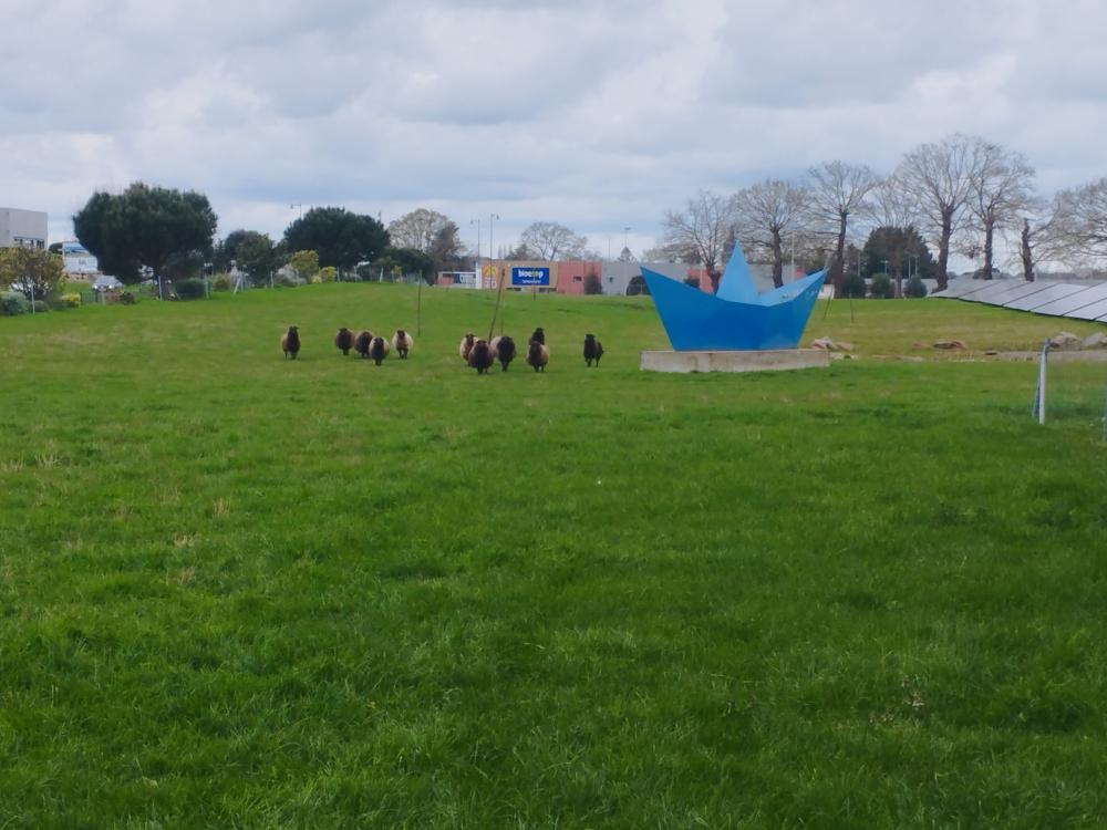 ecopaturage bretagne