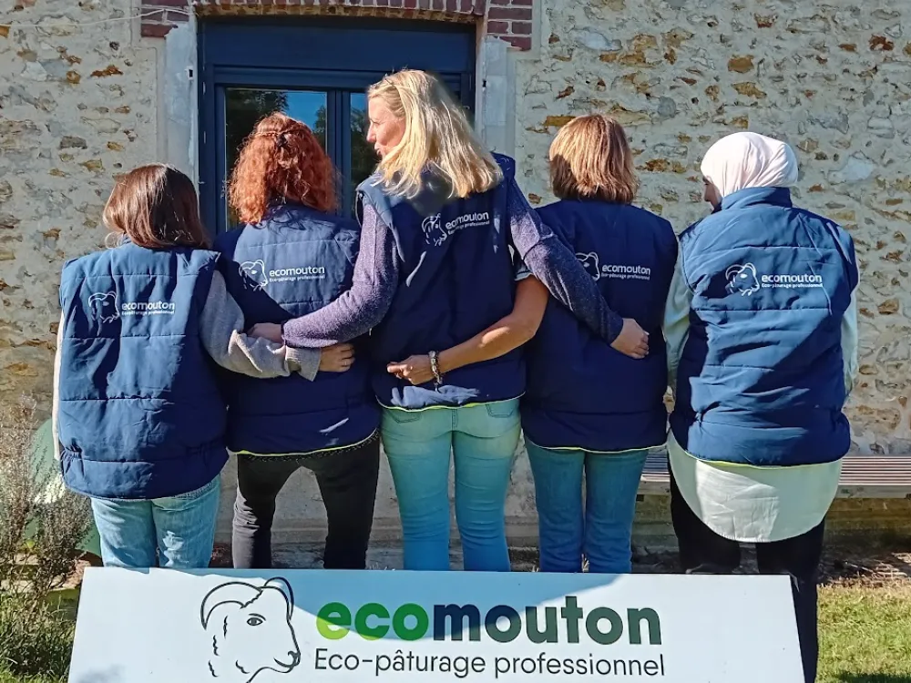 ecomouton ecovadis rse