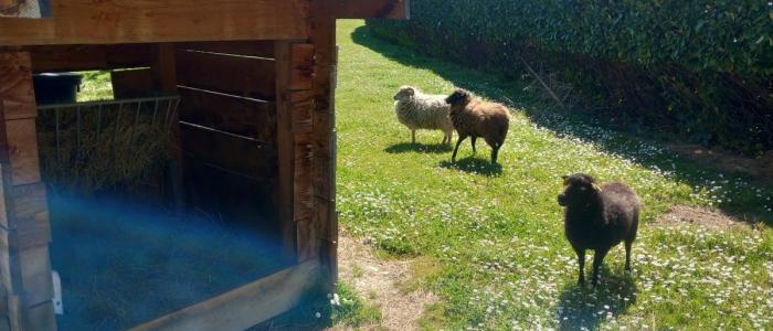 hautegaronneecopaturage