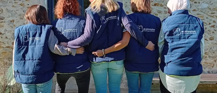 ecomouton ecovadis rse