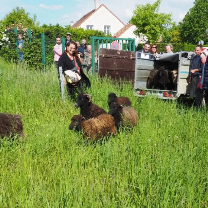 Ecopaturage essonne