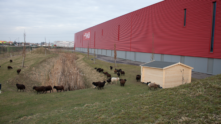 Logistique