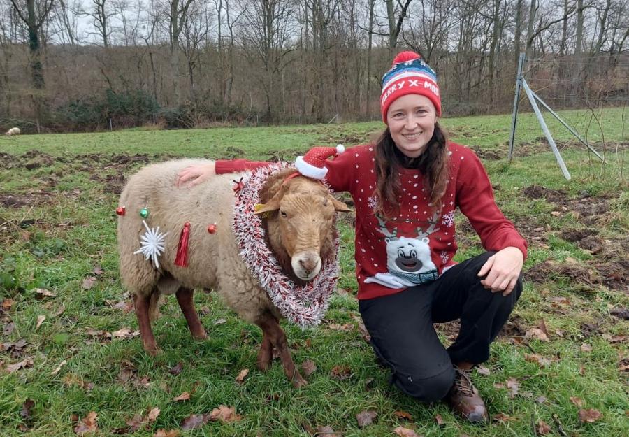 Joyeux Noël