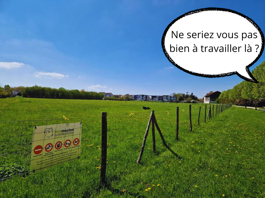 Prairie recrutement